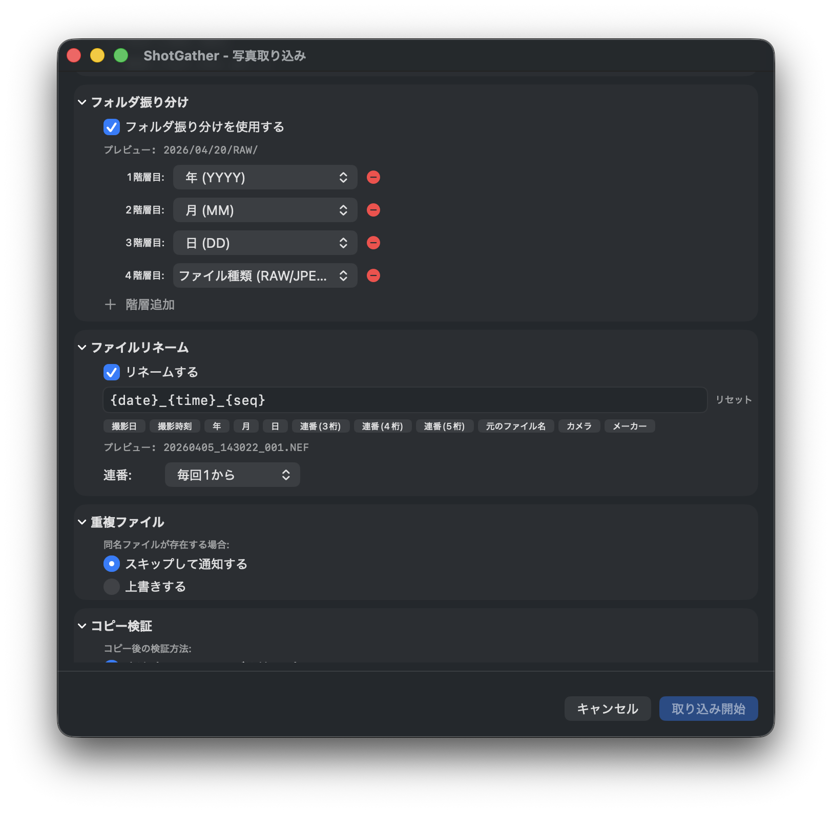 ShotGather 取り込みダイアログ（各セクションを展開した状態）